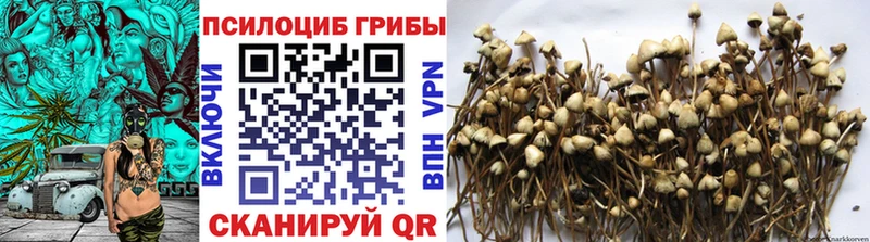 Галлюциногенные грибы прущие грибы  наркота  Белорецк 